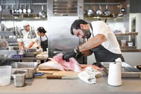 Chef Aaron Bludorn cleaning a fish