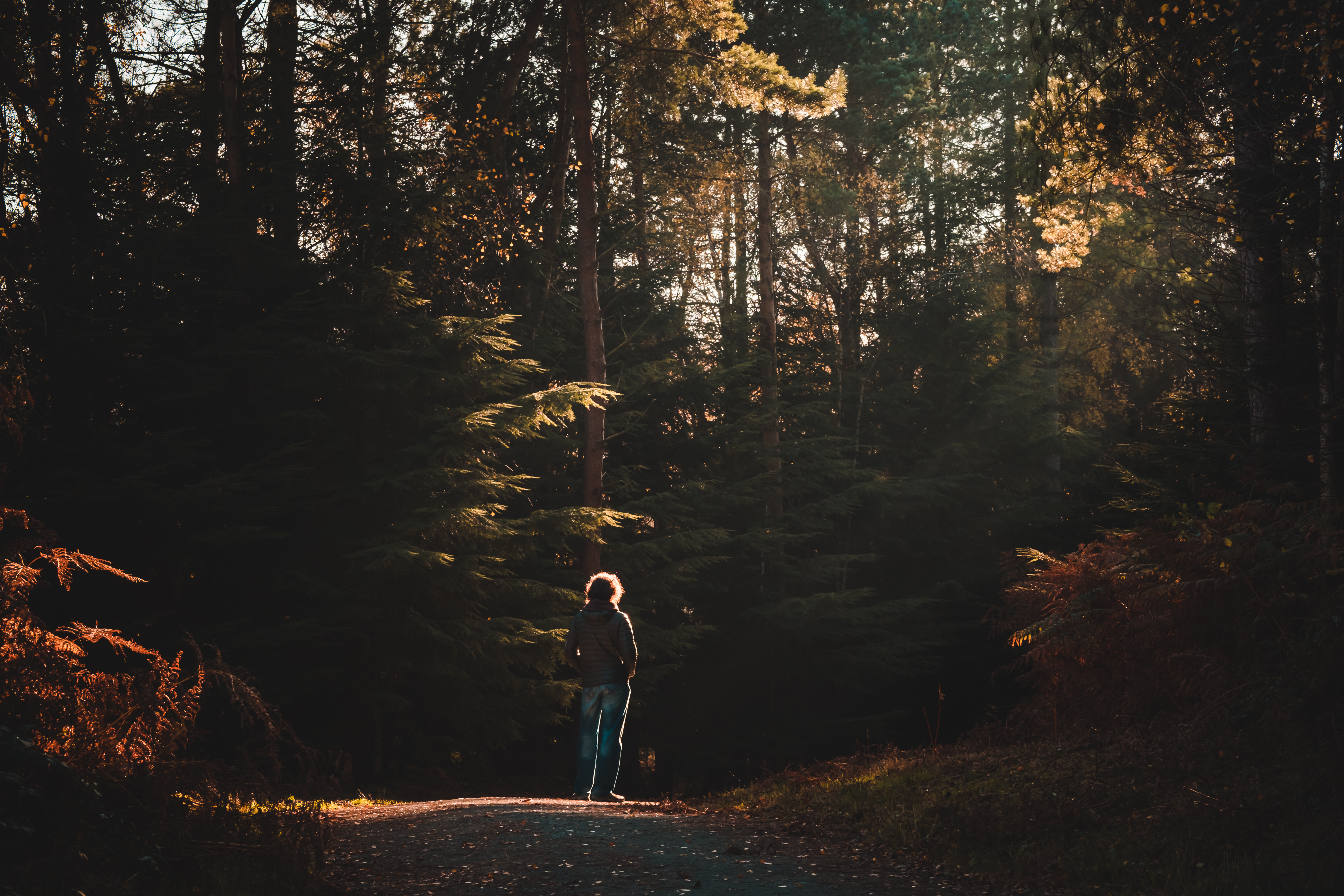 A man walking through a forest towards the light