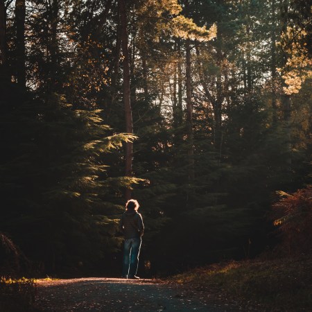 A man walking through a forest towards the light