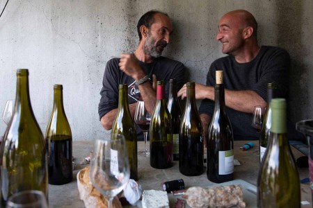 Two winemakers sitting at a table enjoying several bottles of natural wine. A new book goes explores and explains the world of natural wine.