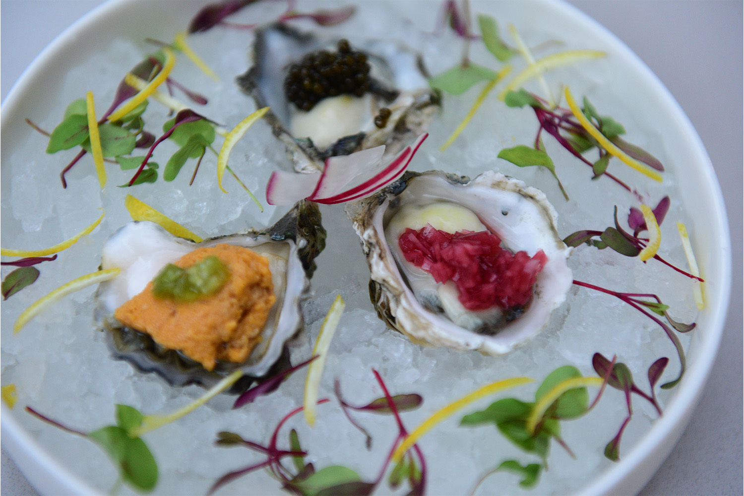 Oysters from Leona’s Sushi House