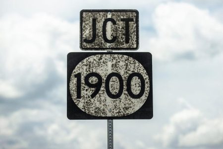 Whiskey fungus grows on a road sign in Kentucky near a distillery.