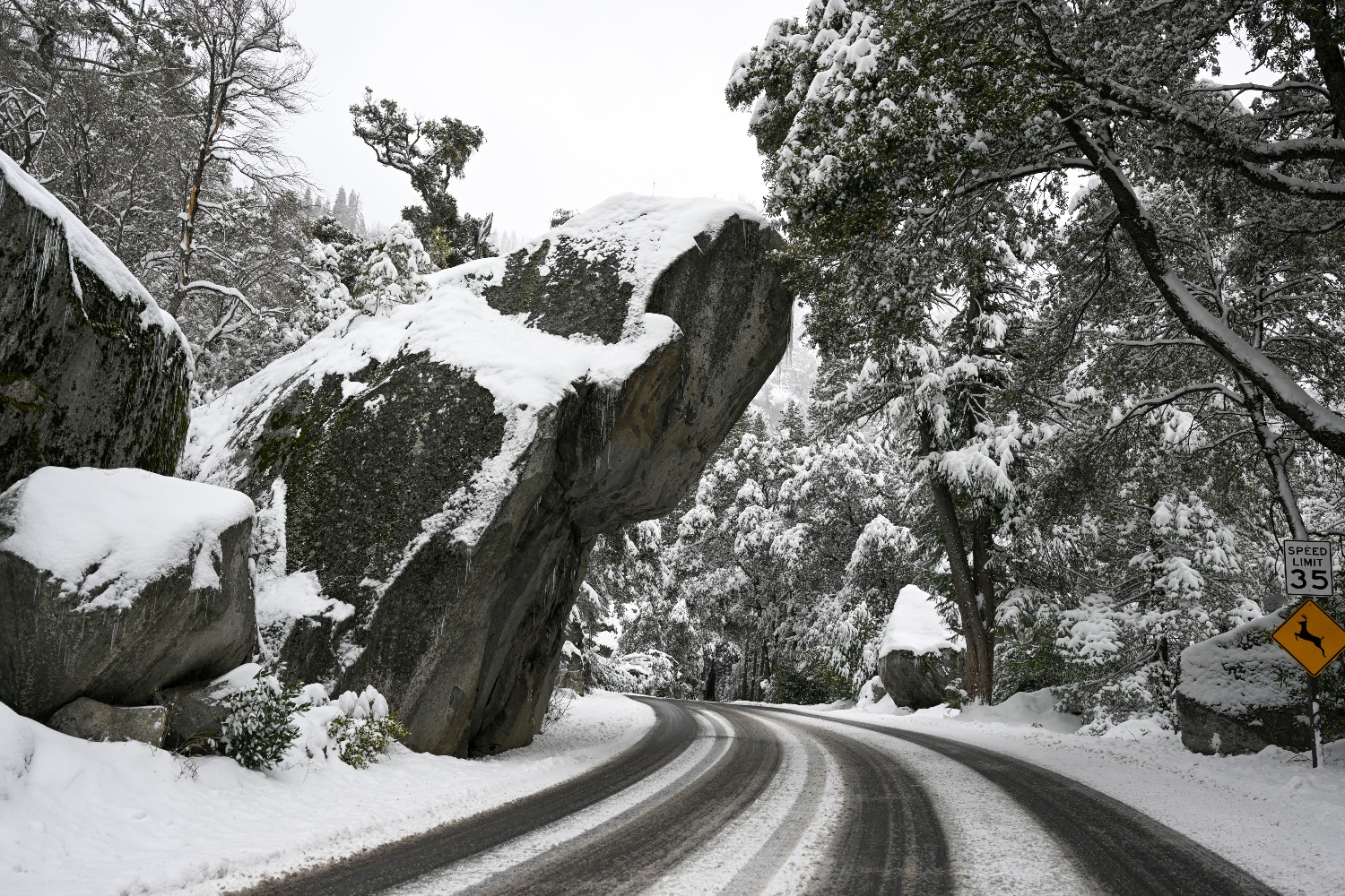 Yosemite National Park