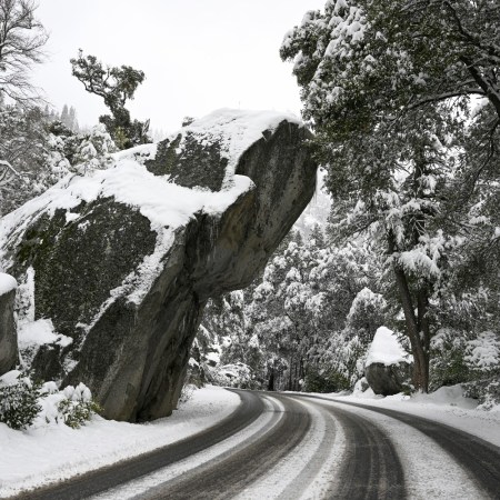 Yosemite National Park