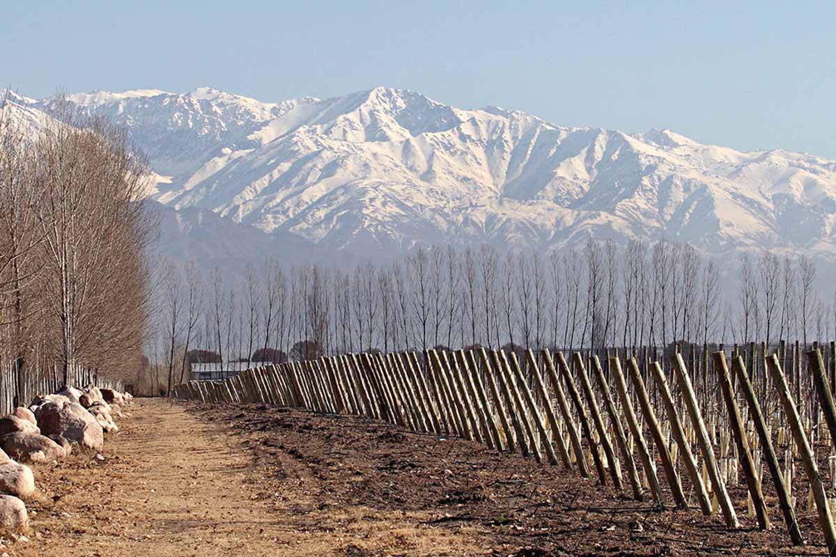 The Argentinian region where Zuccardi wines are made